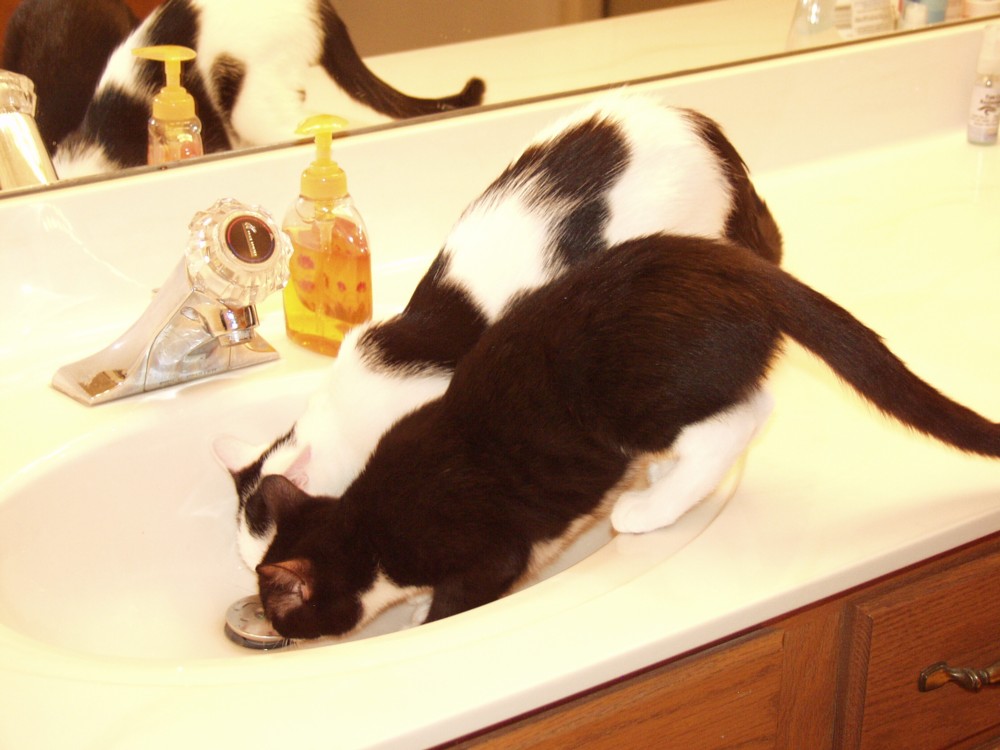 Clark and Chloe at the sink