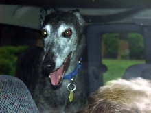 Lyta in back of truck