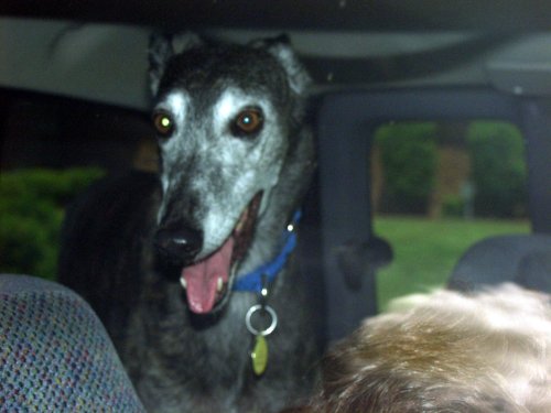 Lyta in back of truck
