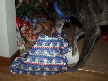 Lyta opening gift