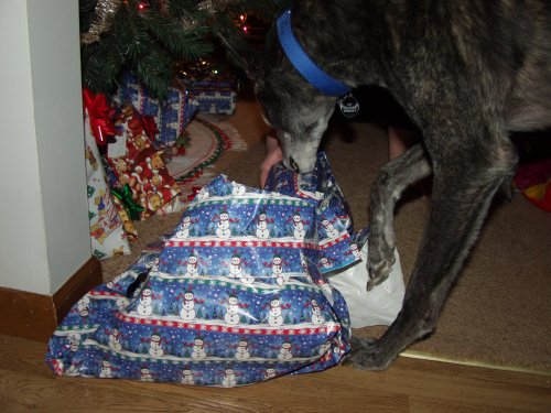 Lyta opening gift