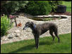 Lyta by pond