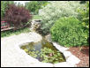 Pond - Old