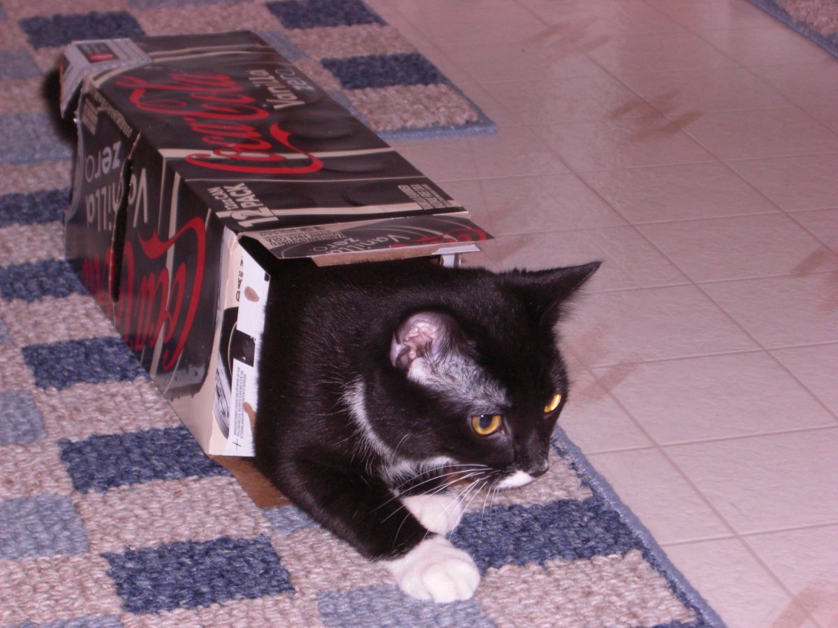 Escape from the box