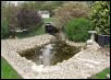 The new pond