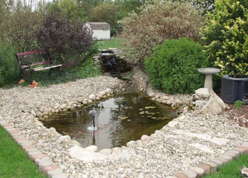 The new pond