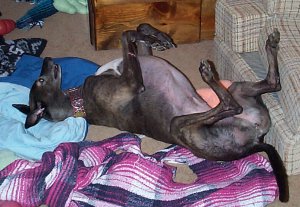 Jadzia roaching