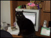 Shadow at Computer