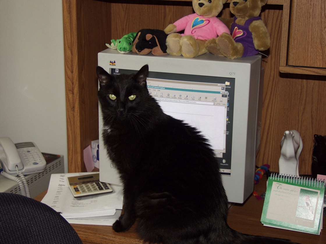 Shadow at Computer