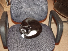 Stolen chair