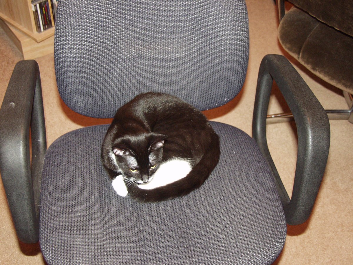 Stolen chair