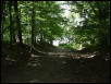 Hiking trail