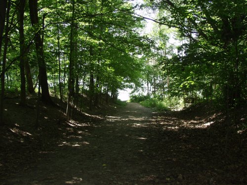 Hiking trail