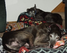 Lyta and Jadzia