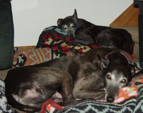 Lyta and Jadzia