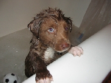 Louis @ 7wks