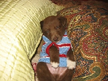 sleepy