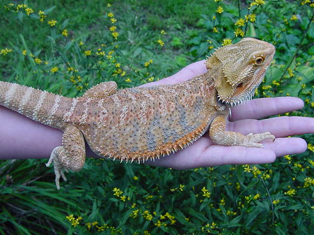 Jesse James 9/26/05