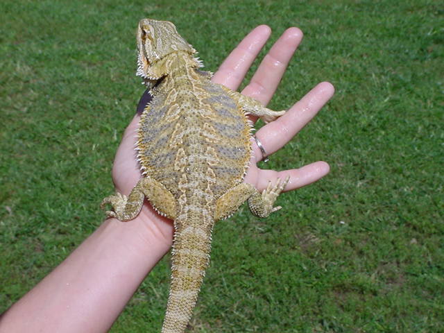 Zena 9/26/05