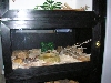 cage2