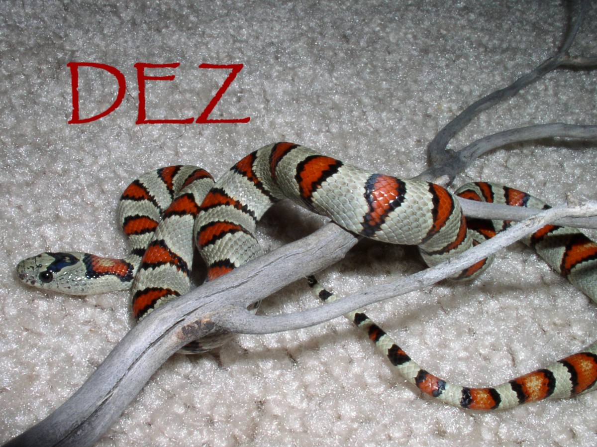 dez