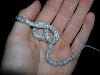 ghost alterna post shed