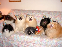 Birthday Party