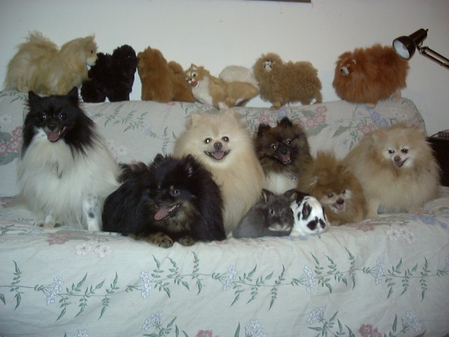 The LovesPoms Gang