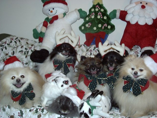 Santa's Helpers??