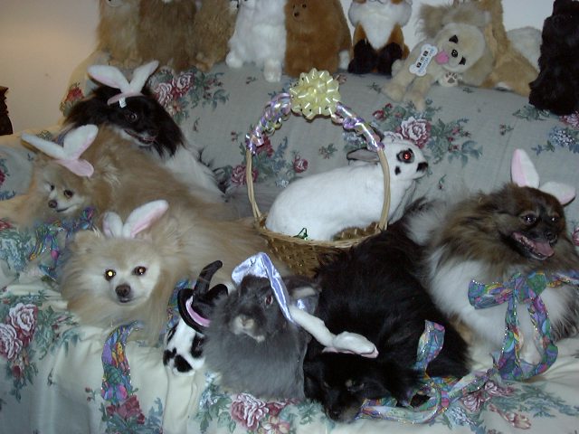 Happy Easter to All