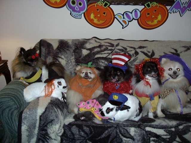 Happy Howlingween 2003