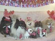 HAPPY VALENTINE'S DAY