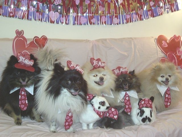 HAPPY VALENTINE'S DAY