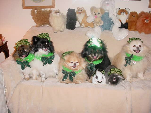 Furry Leprechans