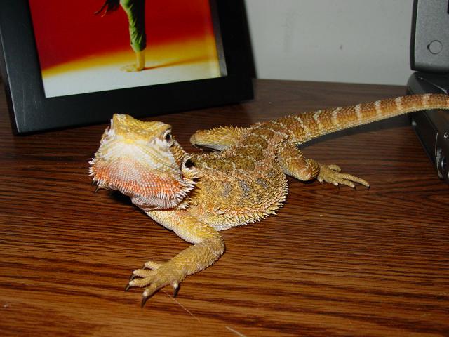 Keegan(means small,bright flame)