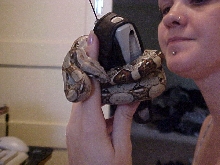 making a phone call!