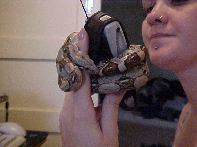 making a phone call!