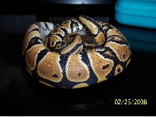 one more pic