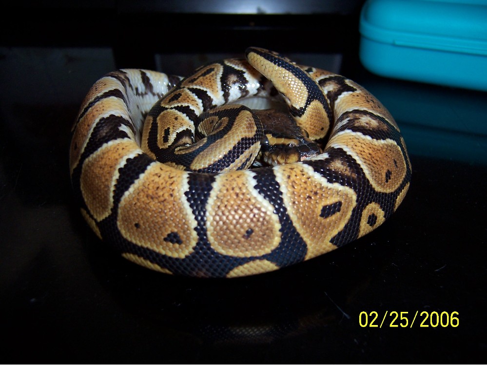 one more pic