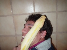 snake attack!