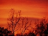 Fire in the Sky