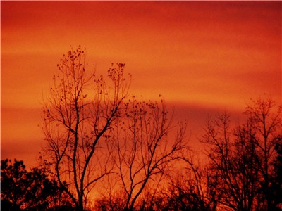 Fire in the Sky