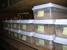Egg Incubator Boxes