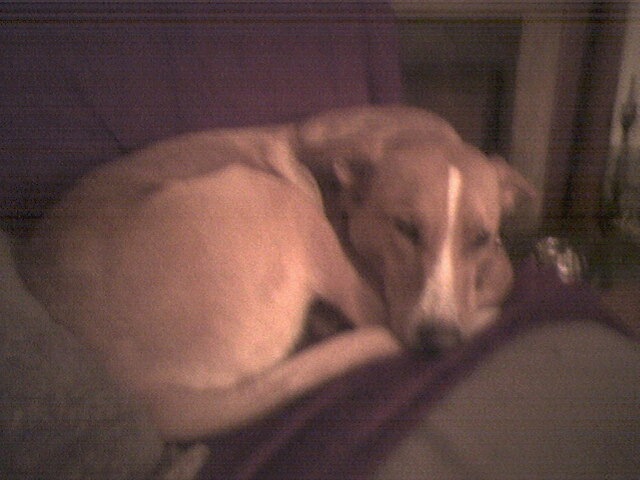 Princess Karma