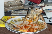 jubjub is a messy eater