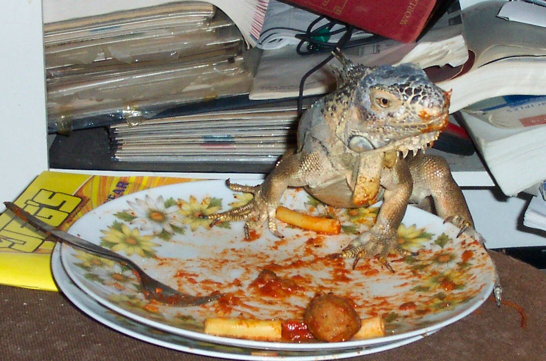 jubjub is a messy eater