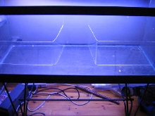 Paludarium Start