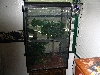Cage