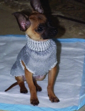 vito cold