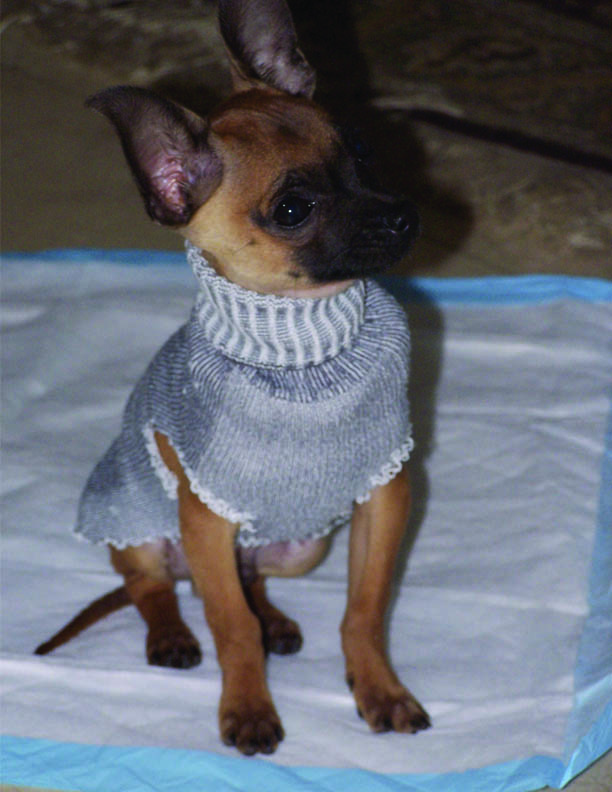 vito cold